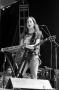 HAIM