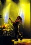 anidifranco2