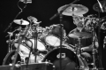 Zappa Plays Zappa